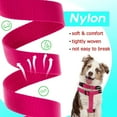 thumbnail image 5 of DMISOCHR Dog Harness and Leash Set with Collar - Step in No Pull Dog Harness, 5 of 5