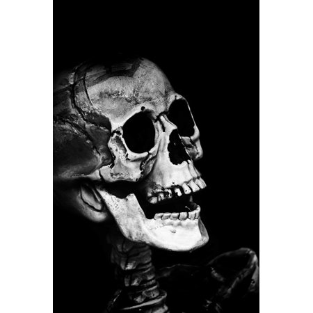 LAMINATED POSTER Mask Holidays Halloween Scary People Dummy Skull Poster Print 24 x 36