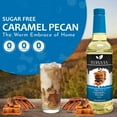 thumbnail image 5 of Syruvia Caramel Pecan Sugar Free Coffee Syrup 25.4 Fl. Oz With Pump, 5 of 7