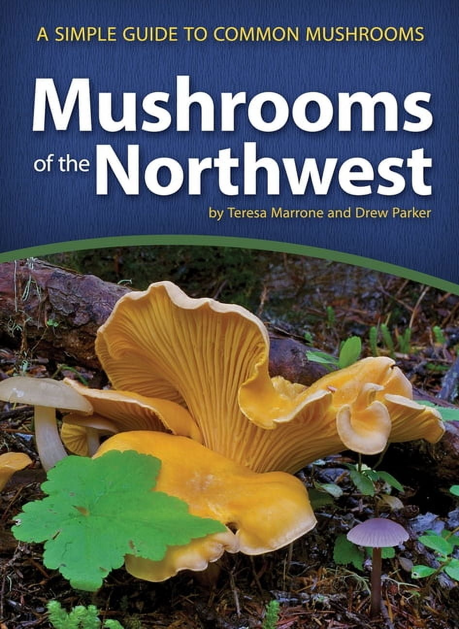洋書 Mushrooms Mushroom Guides Mushrooms of the Northeast: A Simple Guide