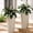 Beige, variant on TopComfy 23.6" Tall Outdoor Planters Set of 2, Large Plastic Flower Pots with Drainage Holes, Striped Tapered Planters for Front Porch, Patio, Garden & Indoor Plants, White