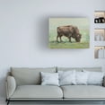 thumbnail image 3 of Ethan Harper 'Where the Buffalo Roam I' Canvas Art, 3 of 4