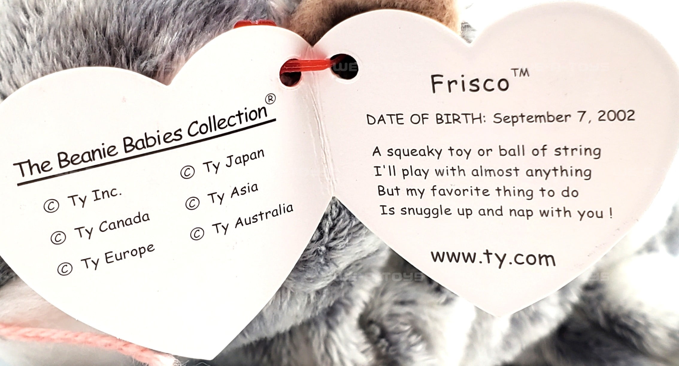 Ty Beanie Baby: Frisco the Cat | Stuffed Animal | MWMT