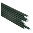 thumbnail image 2 of Garden Stakes 6-Ft for Climbing Plants Supports Pole 20 Pack Rust-Free Plant Sticks Fence Post, 2 of 7