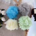 thumbnail image 6 of 1 Pc Long Handle Bath Brush Back Scrubber for Bathroom 14.96" Length Beige, 6 of 6