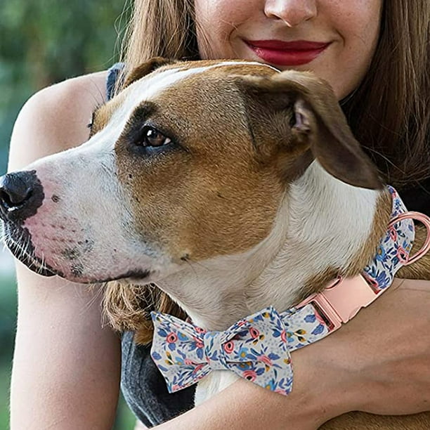 Dog flower top girl collar