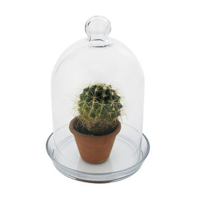 Achla BJT-01 Bell Jar Terrarium I - Glass