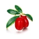 thumbnail image 1 of Xiao Hua 2 broches para mujer, con forma de ramillete de esmalte de frutas y flores, broche de cereza, arándano, fresa y aceite - C04, 1 of 5