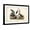 Black Frame, variant on Art.com Audubon Ducks I Art Print by John James Audubon, 18" x 12"