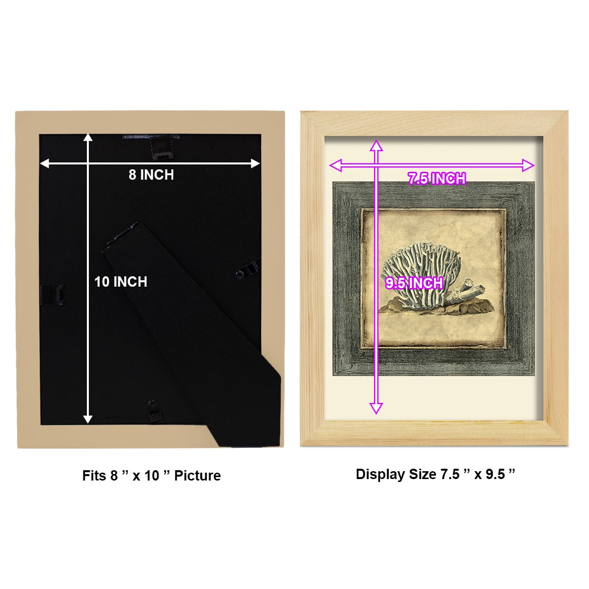 Mini Exotic Coral IX (U) - Framed Print w/glass - Natural Wood