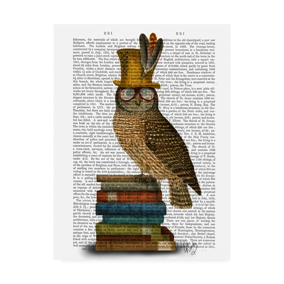 Trademark Fine Art 'Owl On Books' Canvas Art by Fab Funky