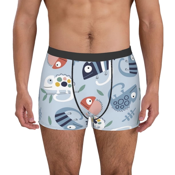 Fotbe Cute Chameleons On Blue Calzoncillos Tipo Boxer con Bolsa de Soporte Total para Hombre, X-Temp Fresco, Transpirable y de Secado Rápido-Large