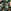 thumbnail image 4 of Alcachofa de ducha de jardín con 8 chorros para regar el césped, lavar coches, lavar mascotas, lavar inodoros, lavar mascotas, limpiar habitaciones JFHHH pequeña, 4 of 4