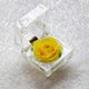 thumbnail image 3 of 1Pcs Preserved Flower Eternity Rose Never Withered Rose Gift for Valentine's Day Birthday and Anniversary with Drawer Gift Box (Yellow), 3 of 3