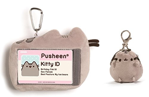 pusheen coin purse