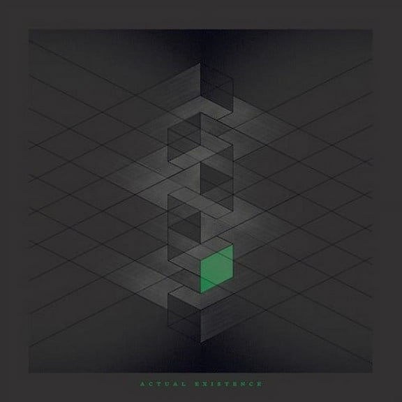 Rlyr - Actual Existence - Music & Performance - Vinyl