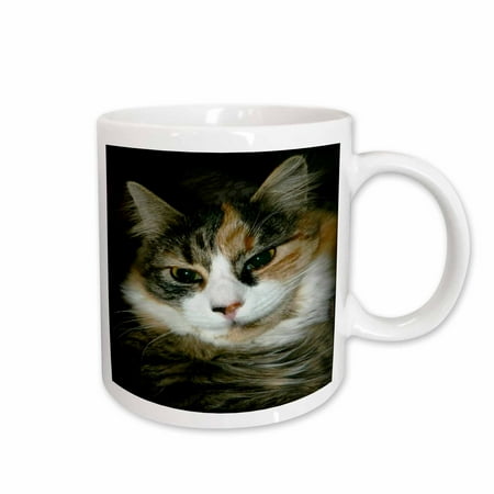 

3dRose Calico Cat Closeup Ceramic Mug 15-ounce