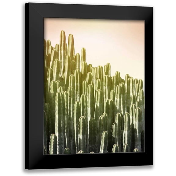 Greer, Lexie 12x14 Black Modern Framed Museum Art Print Titled - Pink Sky Cactus