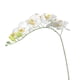 thumbnail image 2 of 1 orquídea para boda., 2 of 3