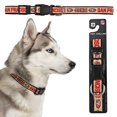 thumbnail image 1 of Collar NFL para perro raza grande San Francisco 49s 100% oficial, 1 of 6