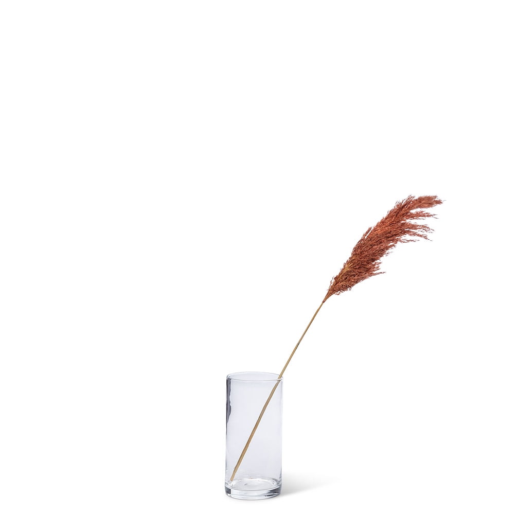 Set of 2 Medium Pampas Grass