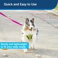 thumbnail image 3 of PetSafe Nylon Dog Leash, Strong, Durable, Easy to Use Bolt Snap, 3/4" x 4', Raspberry, 3 of 6