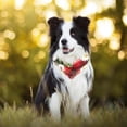 thumbnail image 5 of PhooArto Daisy Flowers Strawberry Pattern Dog Bandanas, 2 Pack Soft Washable Pet Scarf Triangle for Large Dogs Puppies and Cats, 5 of 7