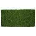 thumbnail image 1 of 103 in. UV Boxwood Mat, Green, 1 of 1