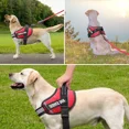 thumbnail image 4 of Chaleco Para Perros De Servicio, Arnes Reflectante Para P..., 4 of 8