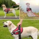 thumbnail image 4 of Chaleco Para Perros De Servicio, Arnes Reflectante Para P..., 4 of 8