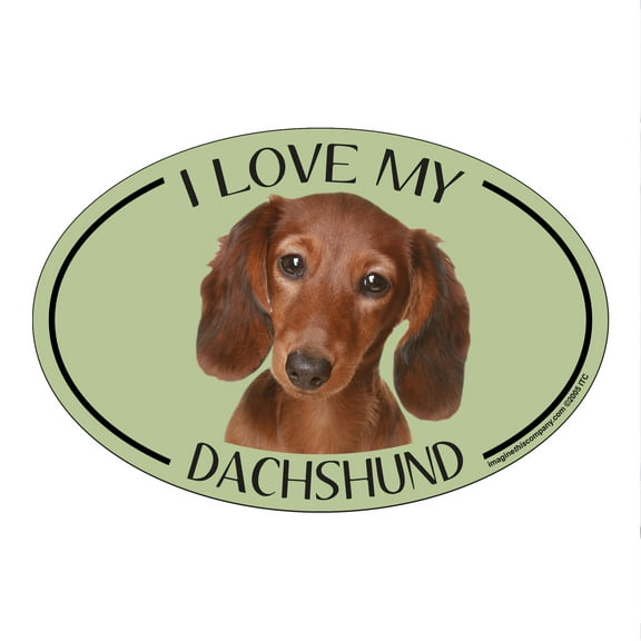 I Love my Dachshund Breed Oval Magnet
