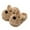 Brown, variant on Kids Slippers Warm Knit Indoor Footwear Girls Boys With Cute Cartoon Design Home Family Moments Clothes