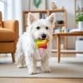 thumbnail image 5 of Cififendec Rainbow Lollipop Squeaky Dog Toy, 4.92"×3.14", Bite Resistant Stuffed Sound Chew Toy for Puppy Stress Relief, Household Boredom Busting Interactive Toy, 5 of 5