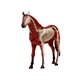 thumbnail image 3 of Modelo de anatomía de órganos animales 4D Juguete de ensamblaje de inteligencia de caballos Electrodomésticos de bricolaje para enseñanza, 3 of 4