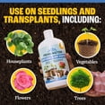 thumbnail image 6 of Pennington Easy Dose Plant Starter 32oz, 6 of 12