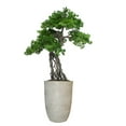 thumbnail image 1 of Artificial Faux Real Touch 3.67 Feet Pine Tree With Planter, 1 of 3