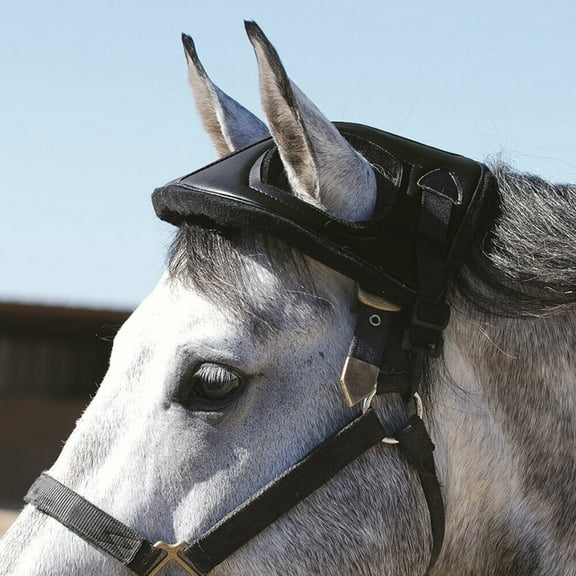 CASHEL Horse Helmet []