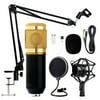Adjustable Desktop Microphone BM800 Deluxe Kit USB Condenser Microphone for Podcast, Singing, Broadcasting Studio Pro Audio Recording Arm Stand Shock Mount
