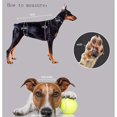 thumbnail image 4 of Ropa de verano para perros Bulldog Francés Gato Ropa de verano Ropa para perros Abrigo lindo Ropa para gatos Ropa para mascotas Rosa Rojo M Código Rojo Verde Cocina, Decoración y Otros, 4 of 5