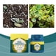 thumbnail image 4 of El activador de suelos es adecuado para una variedad de plantas en macetas para complementar los nutrientes para el mantenimiento diario y un uso conveniente., 4 of 9