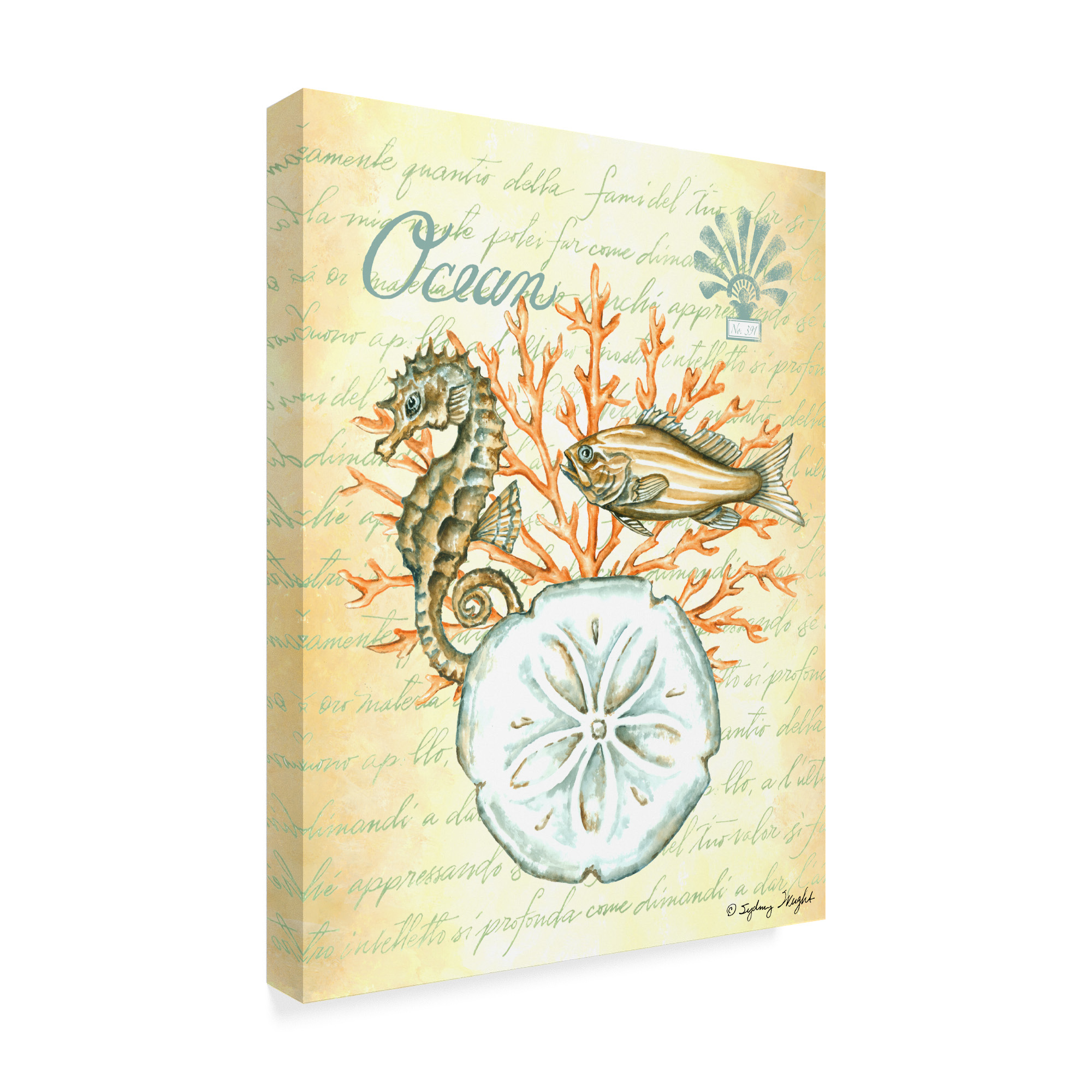Trademark Fine Art 'Under The Sea Nautical II' Canvas Art by Sydney Wright