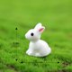 thumbnail image 3 of Figurita en miniatura de conejo adorable de resina Microdecoraciones Jardines de hadas Adornos DIY Decoraciones Planta suculenta Decoración Conejos Adorno para tartas, 3 of 7