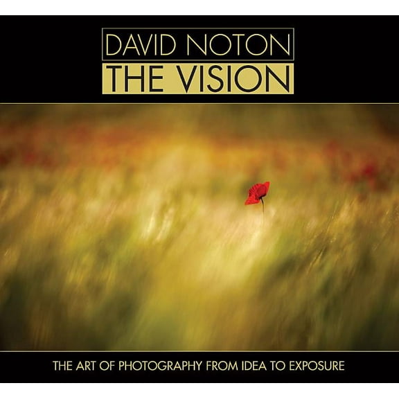 David Noton: The Vision: The Art of Photography from Idea to Exposure (Paperback)