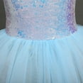 thumbnail image 6 of IBTOM CASTLE Kid Girls Sequins Ruffle One Shoulder Ballet Dance Dress Tulle Tutu Skirt, 6 of 10
