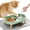 Green, variant on Elevated Cat Bowls with Food Mat, Splash Proof Anti Vomiting Raised Cat Food and Water Bowl Set, 2 Stainless Steel Dishes for Cats and Puppy, Pet Bowl for Indoor Cats White