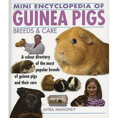 Mini Encylopedia of Guinea Pigs