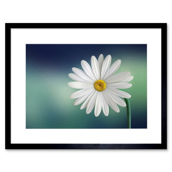 White Flower Petals Daisy Framed Wall Art Print
