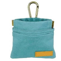 Green Pocket Sized Dog Treat Pouch with Carabiner for Training and Outdoor Use