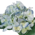 thumbnail image 2 of 25" Hydrangea Stem by Ashland, 2 of 2