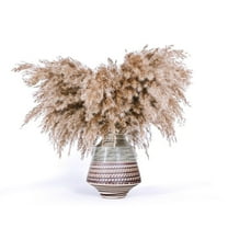 SREED 30-Pcs 17-Inch Tall Fluffy Pampas Grass Short S Size Brown Pompas Decor Boho Room Flowers Decoration